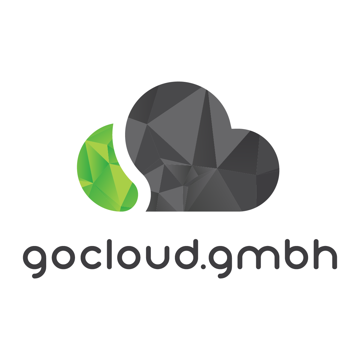 gocloud - Cloud Hosting Partner